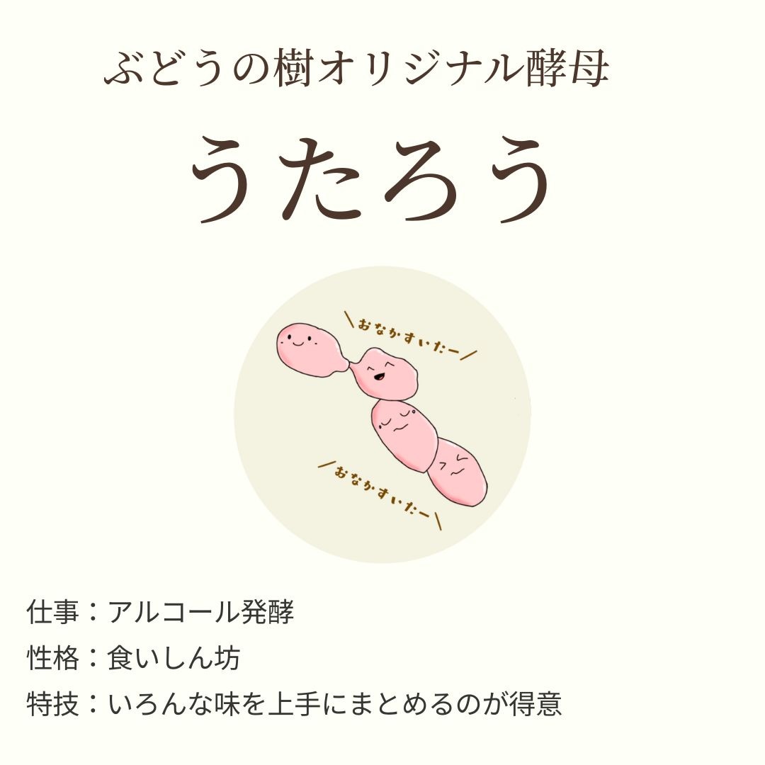 ���ꥸ�ʥ��֥磻��ֹ��͡�2025��