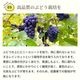 ���ꥸ�ʥ��֥磻��ֹ��͡�2025��