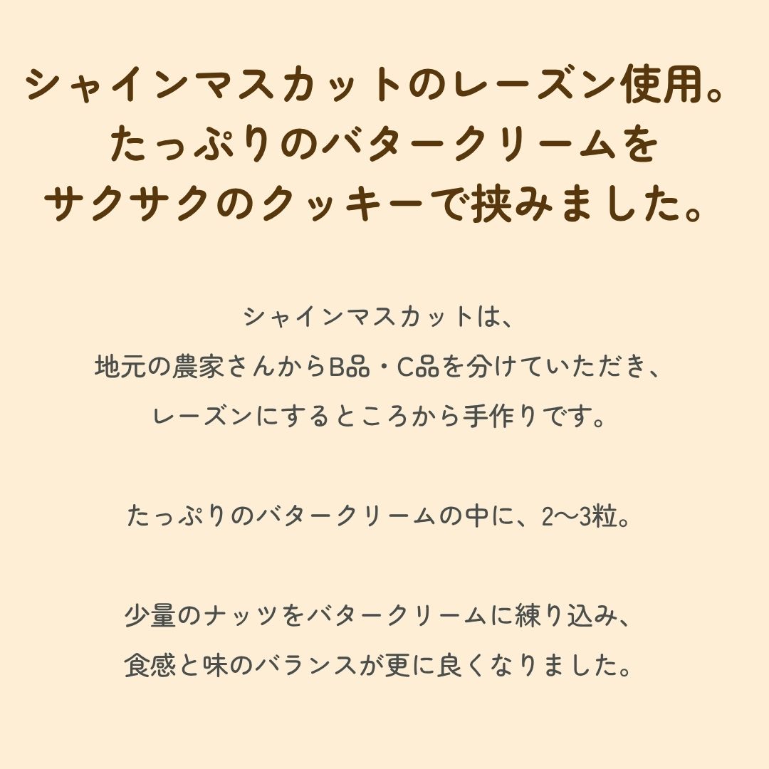 �ץ�ߥ���졼���󥵥�ɥ��åȡʲ���Ȣ�����