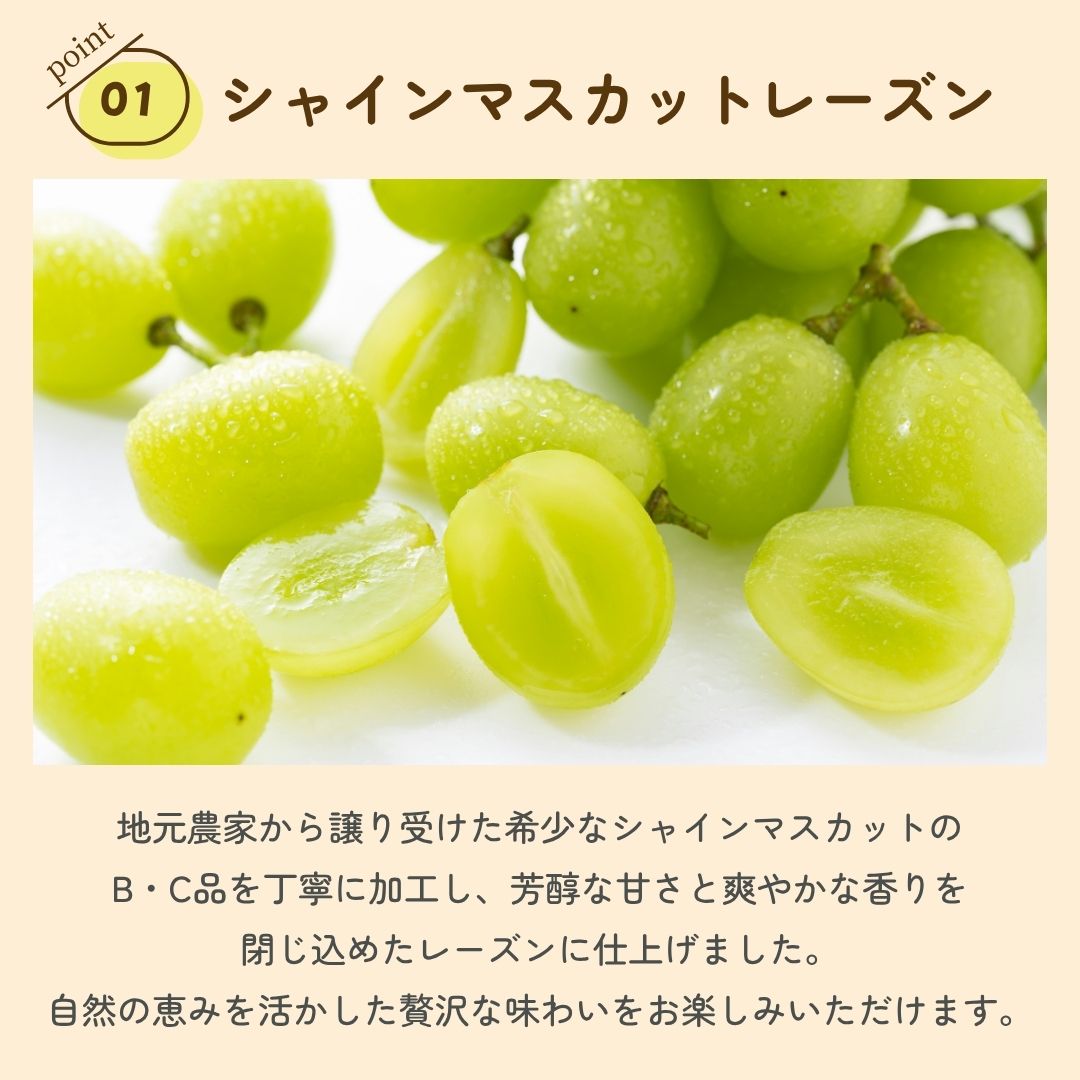 �ץ�ߥ���졼���󥵥�ɥ��åȡʲ���Ȣ�����