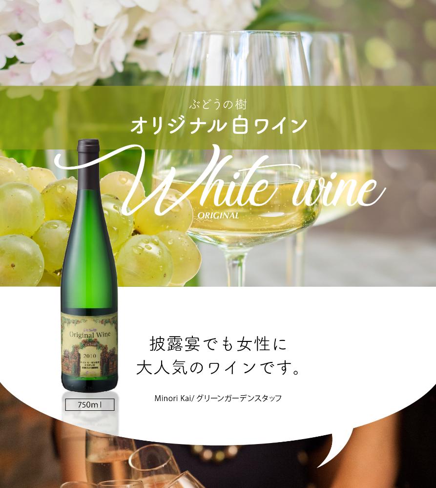 ڥ磻5,683OFFۥꥸʥ磻ܥå