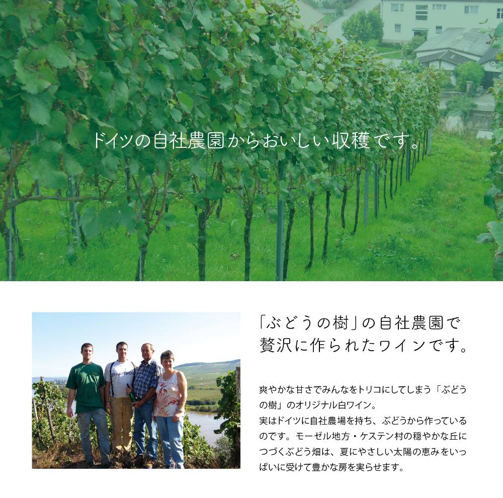 ڥ磻5,683OFFۥꥸʥ磻ܥå