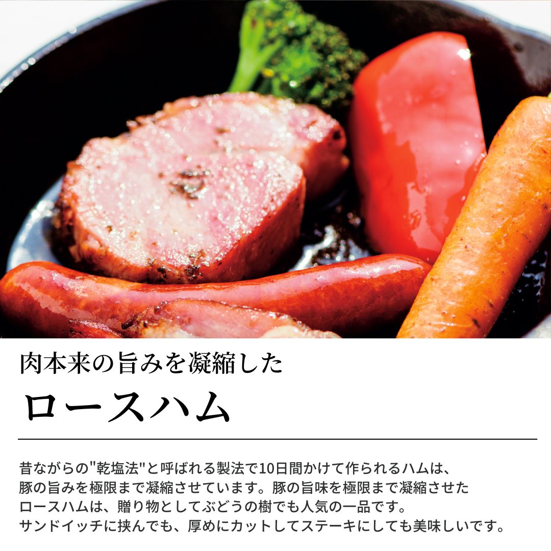 磻⡼B