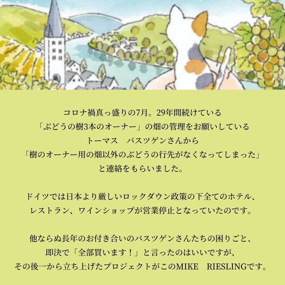 �ڥ磻���������*10%OFF��MIKE RIESLING �������6�ܥ��å�