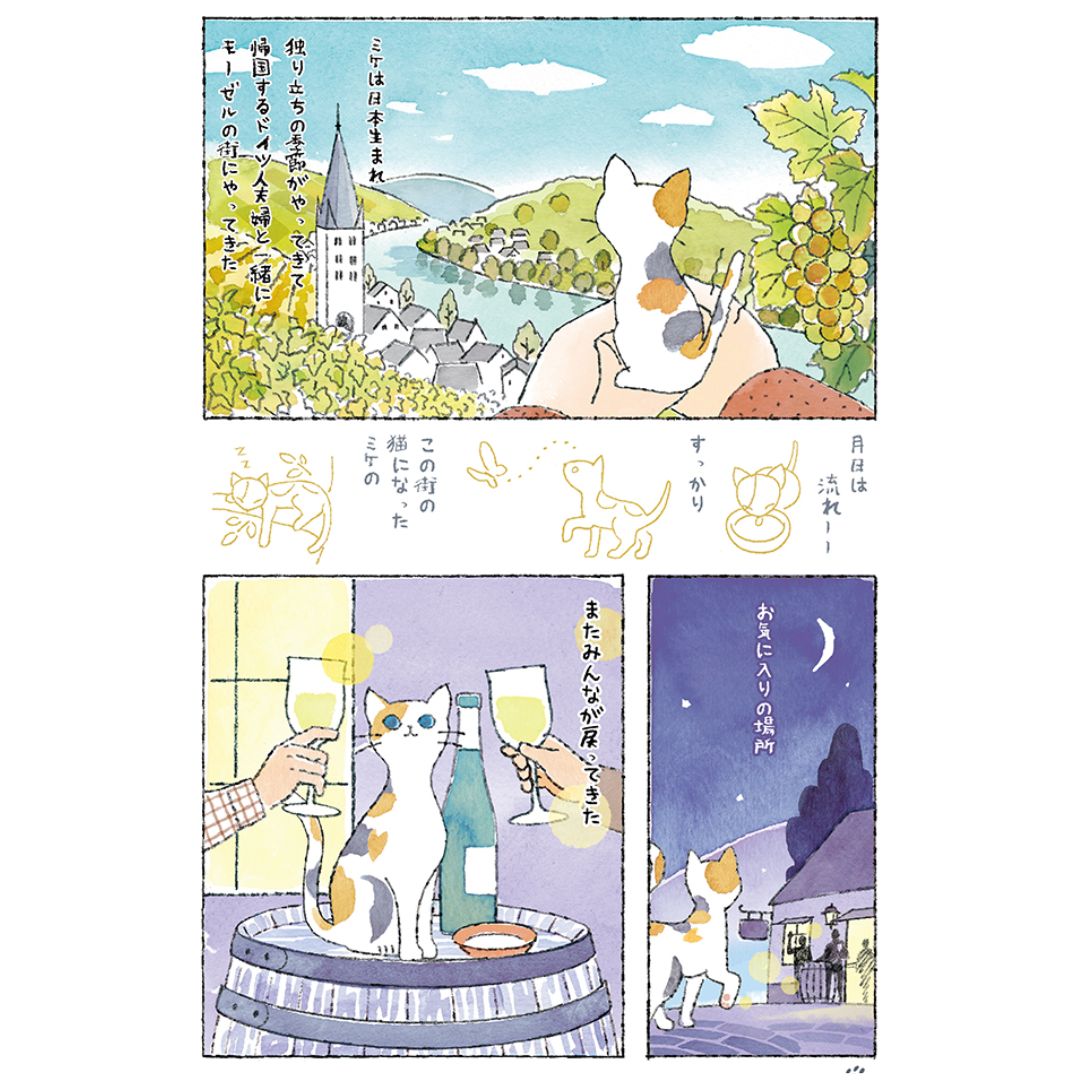 �ڥ磻���������*10%OFF��MIKE RIESLING �������6�ܥ��å�