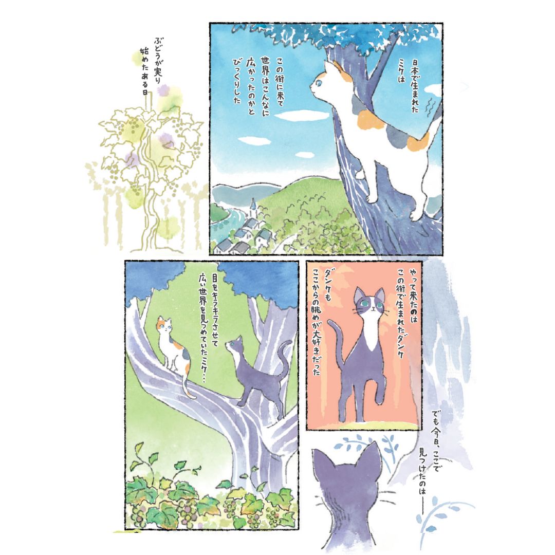 �ڥ磻���������*10%OFF��MIKE RIESLING �������6�ܥ��å�