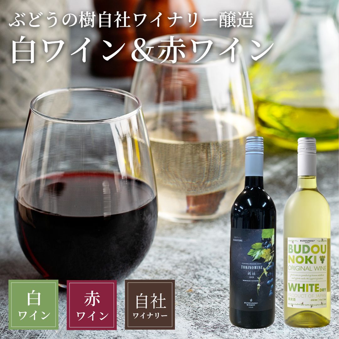 ���ҥ磻�ʥ꡼��¤����磻�󥻥å�