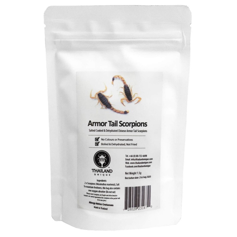 ArmorTail Scorpions(アーマーテイルスコーピオン2匹)