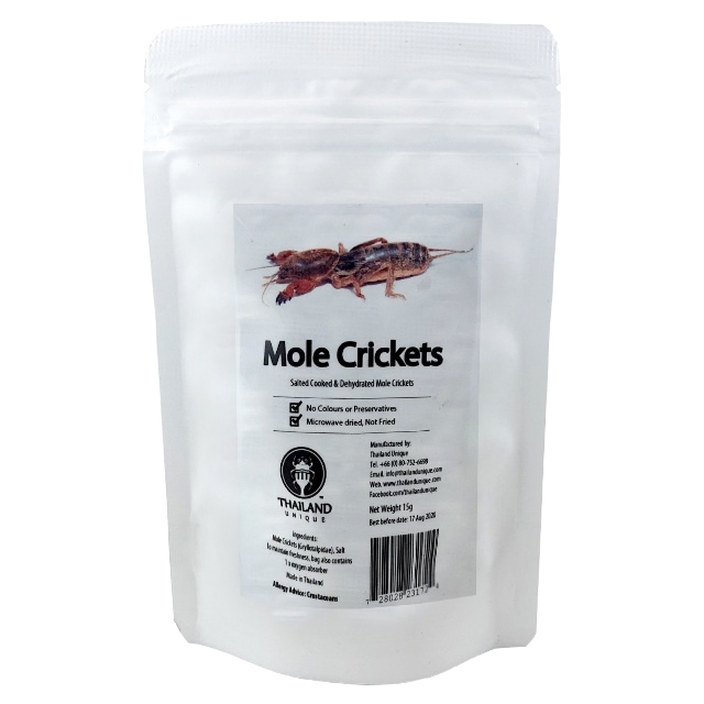 MoleCrickets(オケラ)