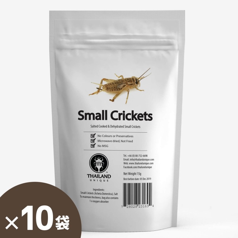 Small Crickets(衼åѥ)  x 10