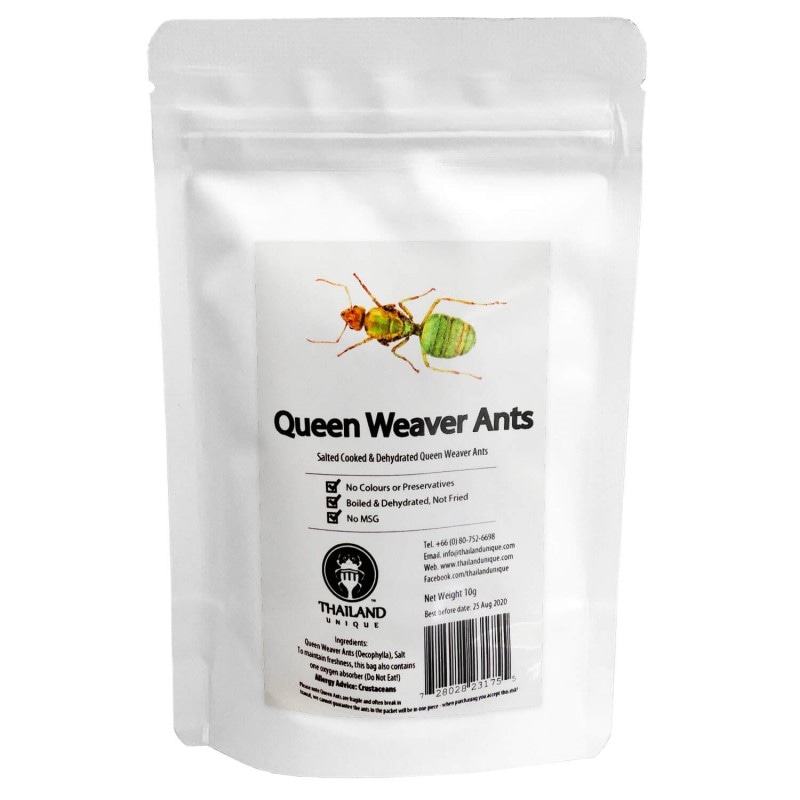 Queen Weaver Ants (ĥ८)    x  10