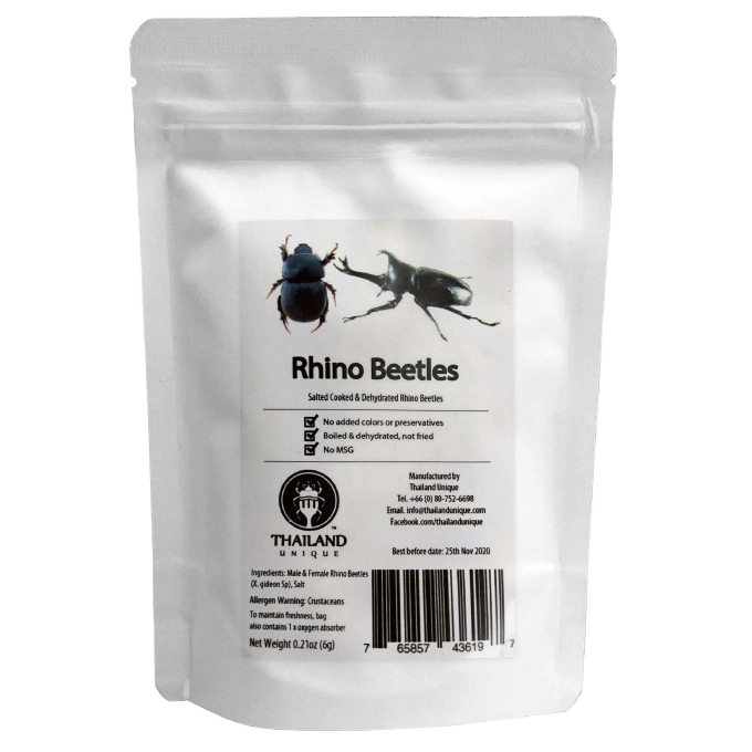 Rhino Beetles (カブトムシ)