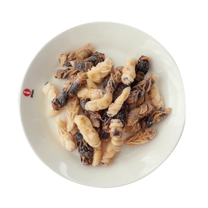 【国産】冷凍 オオスズメバチ さなぎ (100g)