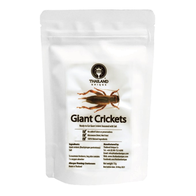 Giant Crigket(㥤ȥ)