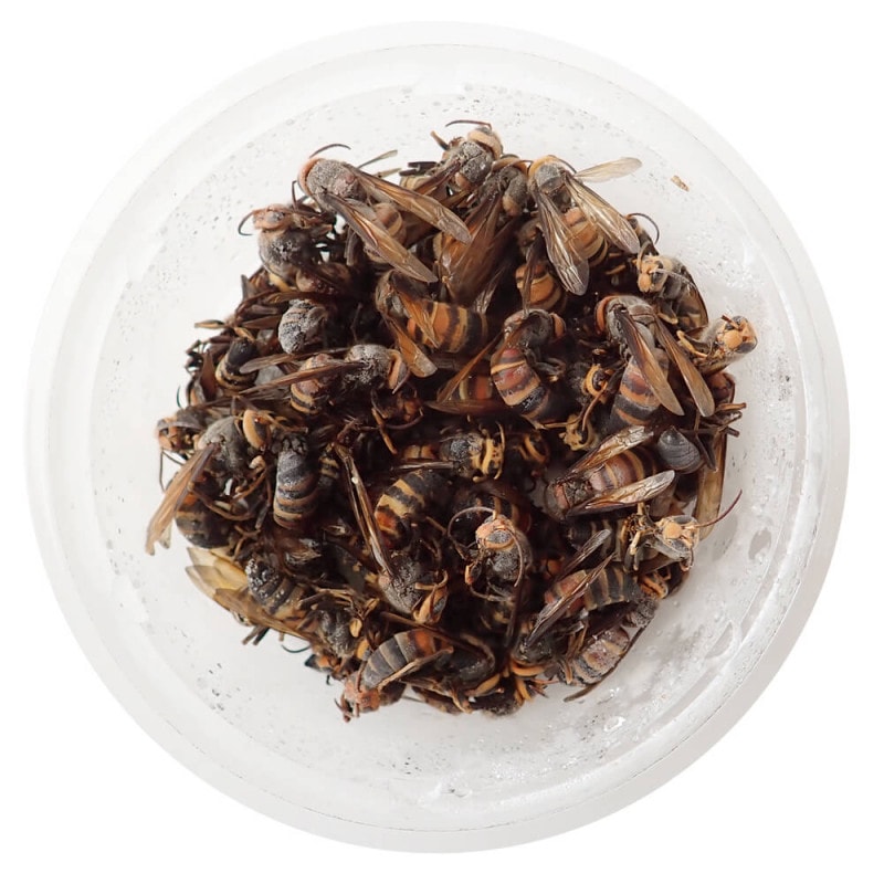 ڹ񻺡 ҥ᥹Х  (100g)