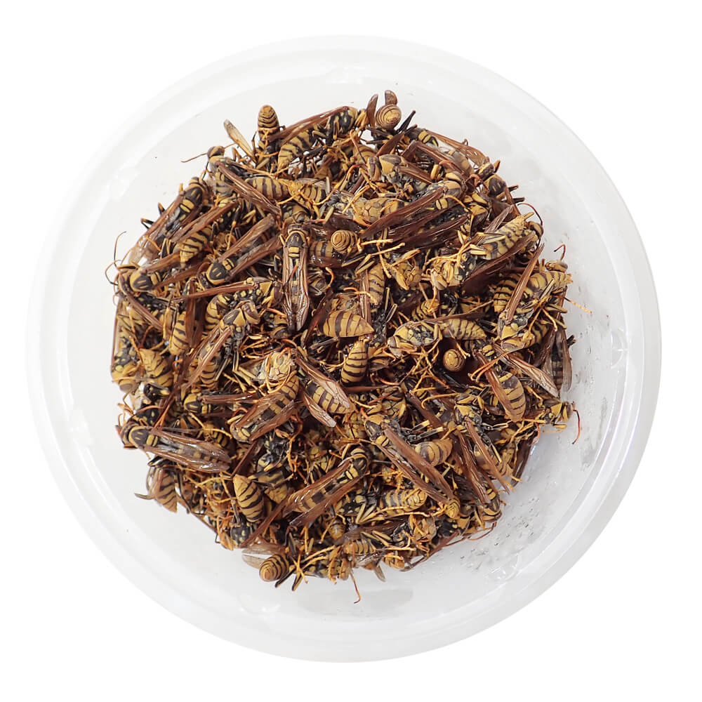 �ڹ񻺡����� �������ʥ��Х� ���� (100g)