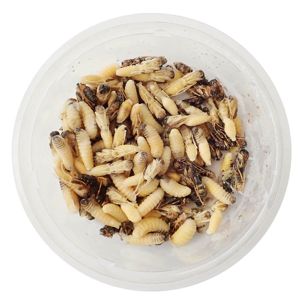 �ڹ񻺡����� �������ʥ��Х� ���ʤ� (100g)