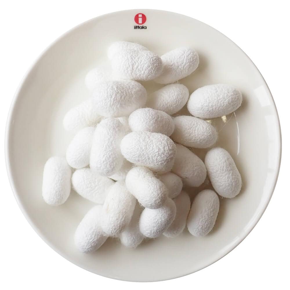 �ڹ񻺡����� ������ ���ʥ� �ޤ��դ�(100g)