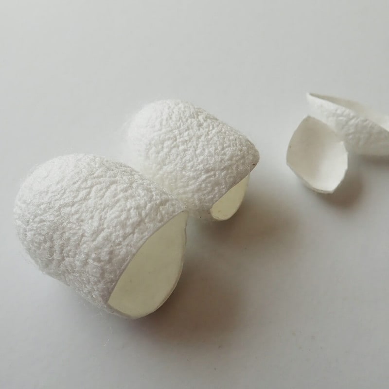 【国産】 カイコ まゆのみ(100g)