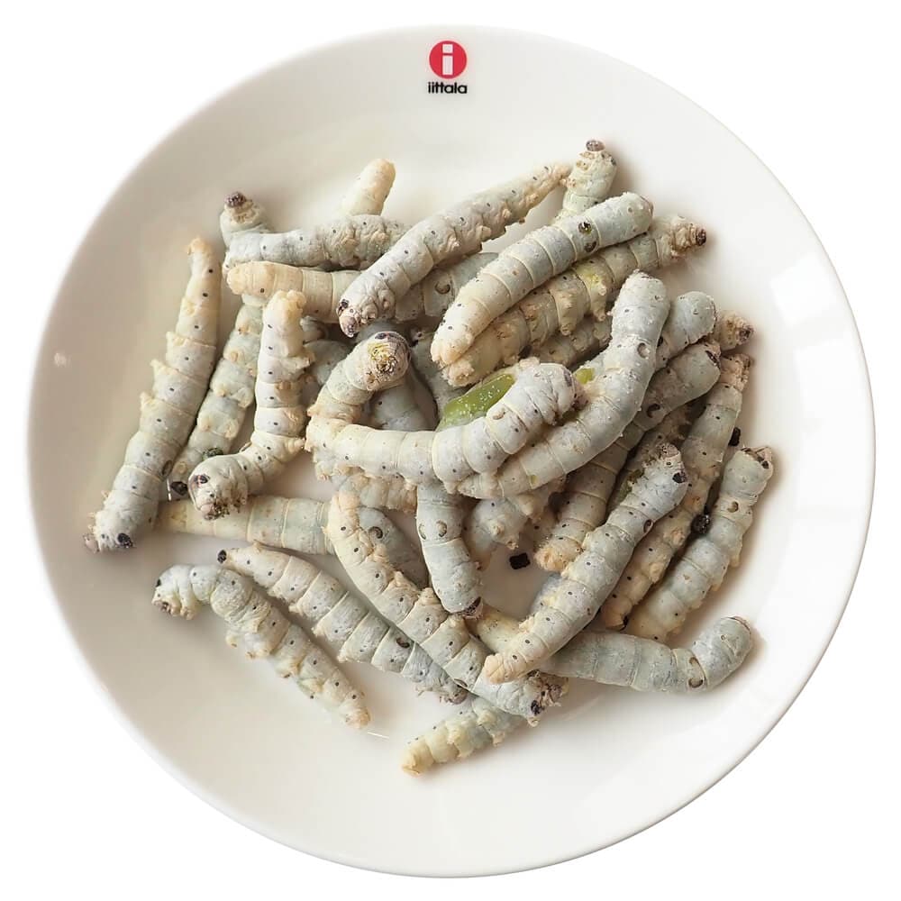 �ڹ񻺡۶�̳�ѥ����� ���� ������ ����(1kg)