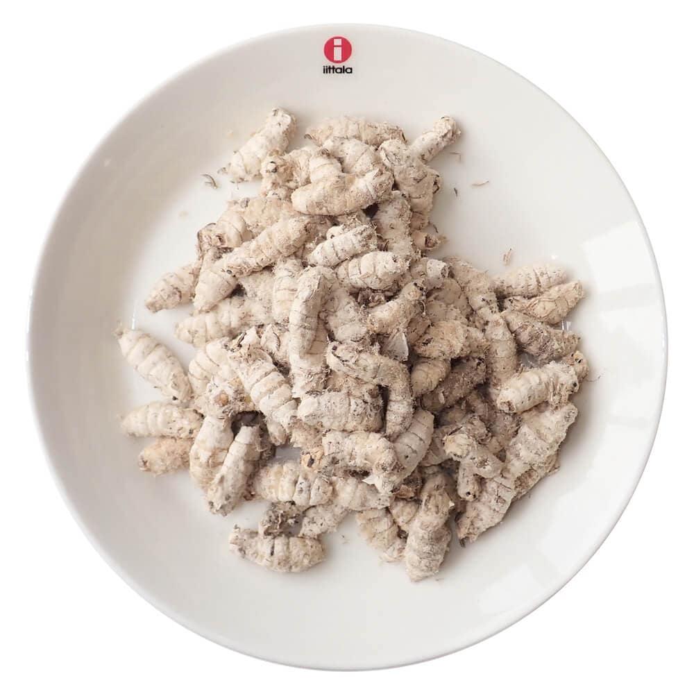 �ڹ񻺡۶�̳�ѥ����� ���� ������ ����(���ʤ�)(1kg)