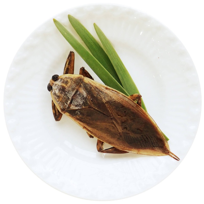 ���� �����ᡡ�������ե롼�ƥ����ʹ��ο͵�����