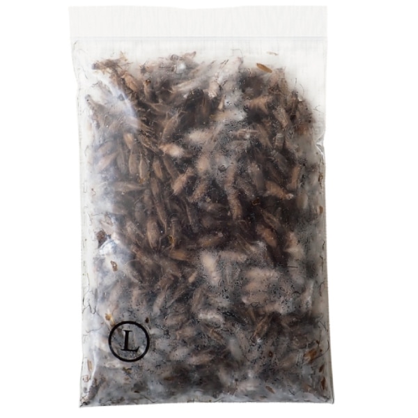 �ڹ񻺡�����衼���åѥ�����������100g