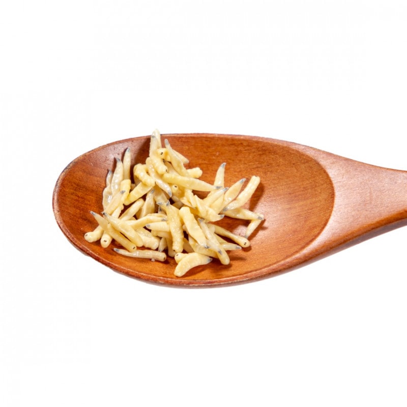 【冷凍】『おから』のみを食べて育ったイエバエ 幼虫 100g