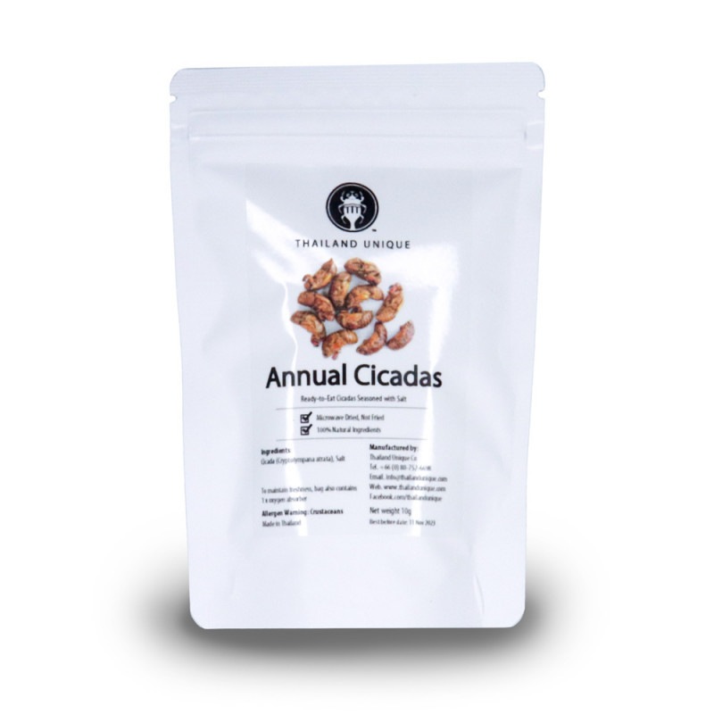 Cicada 10g(��������10g��