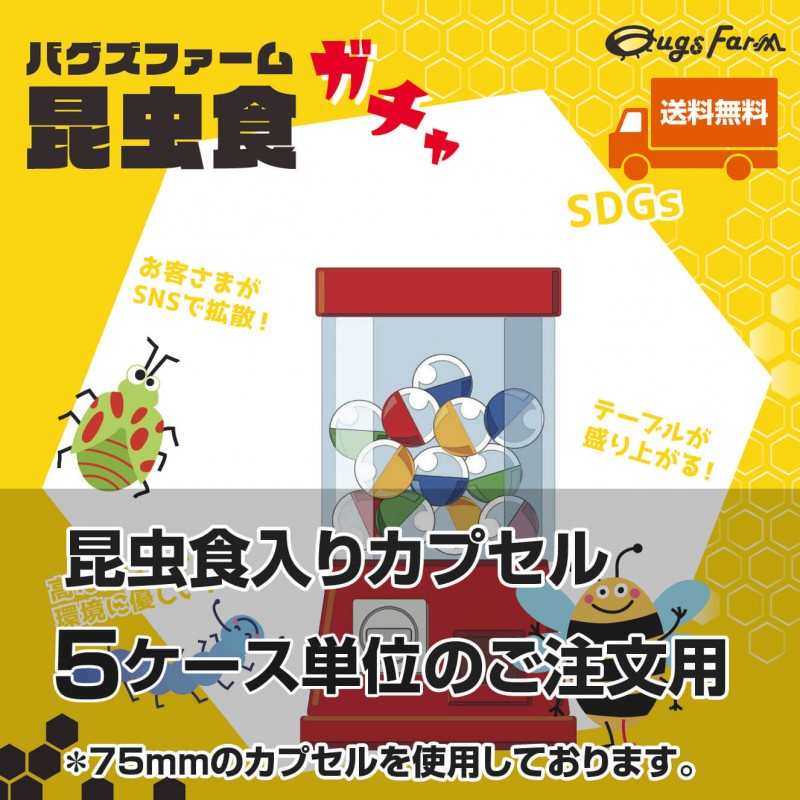 ������̵���ۺ�����ꥫ�ץ��� 5��������1������50���ץ��������