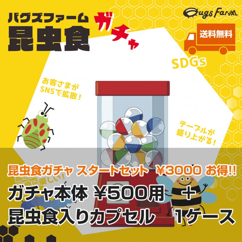 ̵ۥȥå 500  50ץ