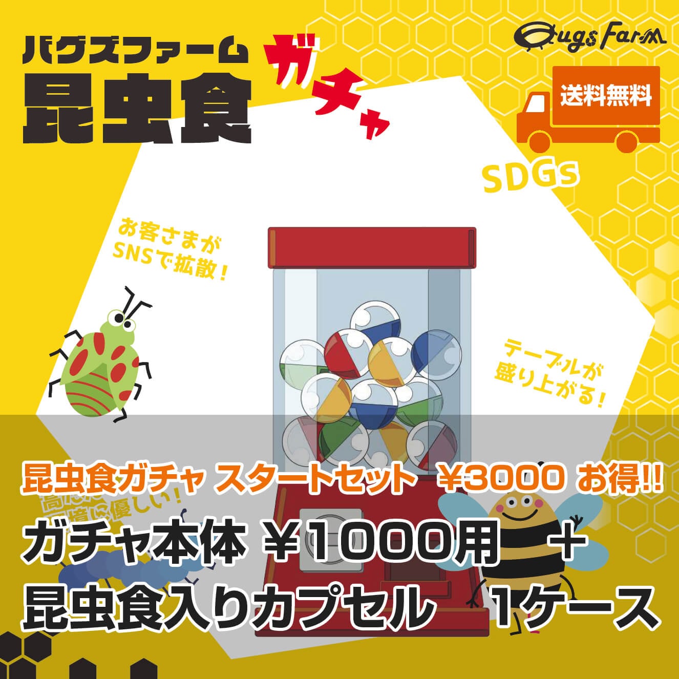 ������̵���ۥ������ȥ��å� ���������1000���� �� ����������50���ץ����