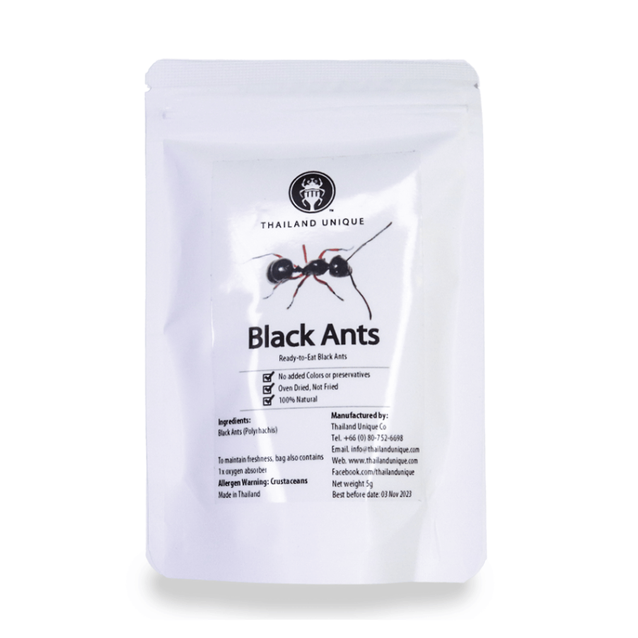 Black Ants(������)��10��