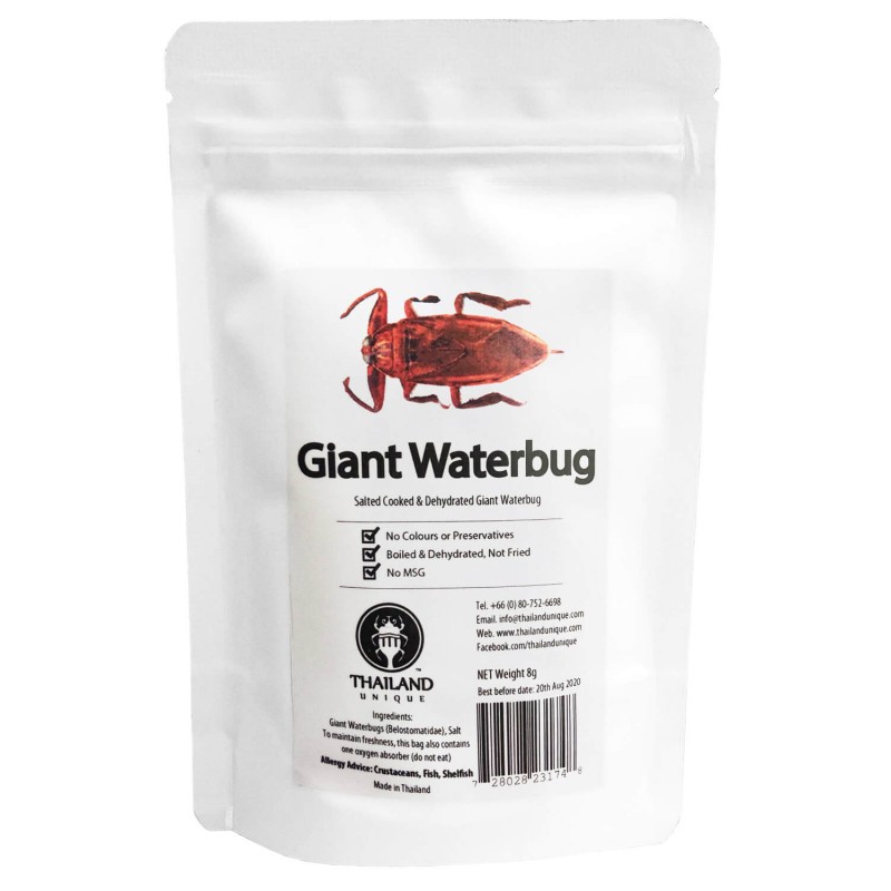 Giant Waterbugs()()10