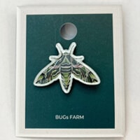 昆虫食 ピンバッジ（pins） キョウチクトウスズメ | 昆虫食(雑貨