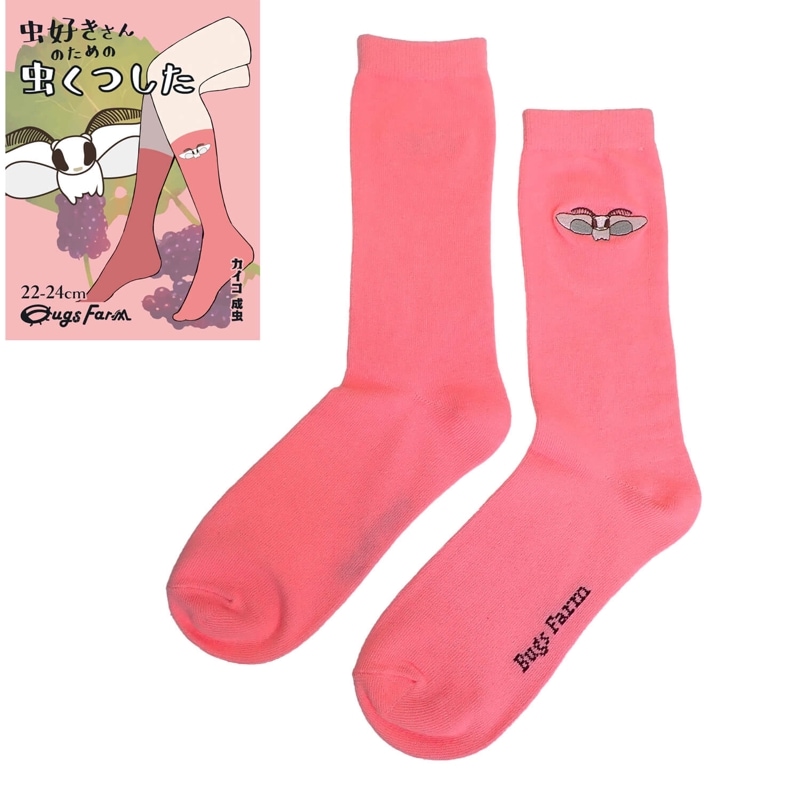 虫好きさんのための虫くつした　カイコ 成虫