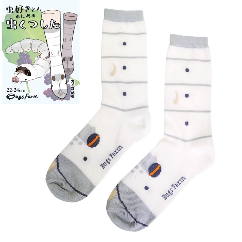 �������Τ������Ĥ����������� ����