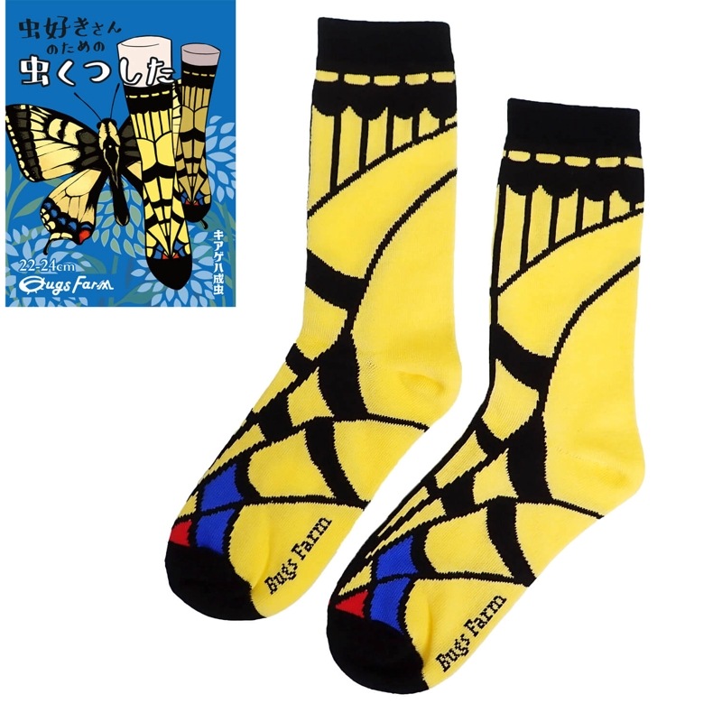 �������Τ������Ĥ������������� ����