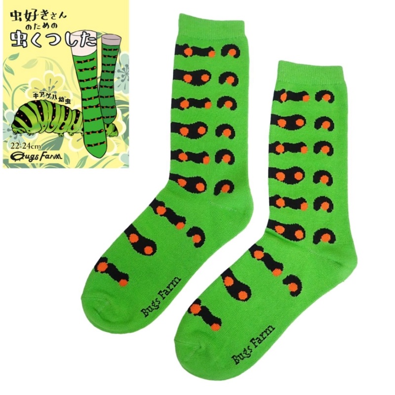 �������Τ������Ĥ������������� ����