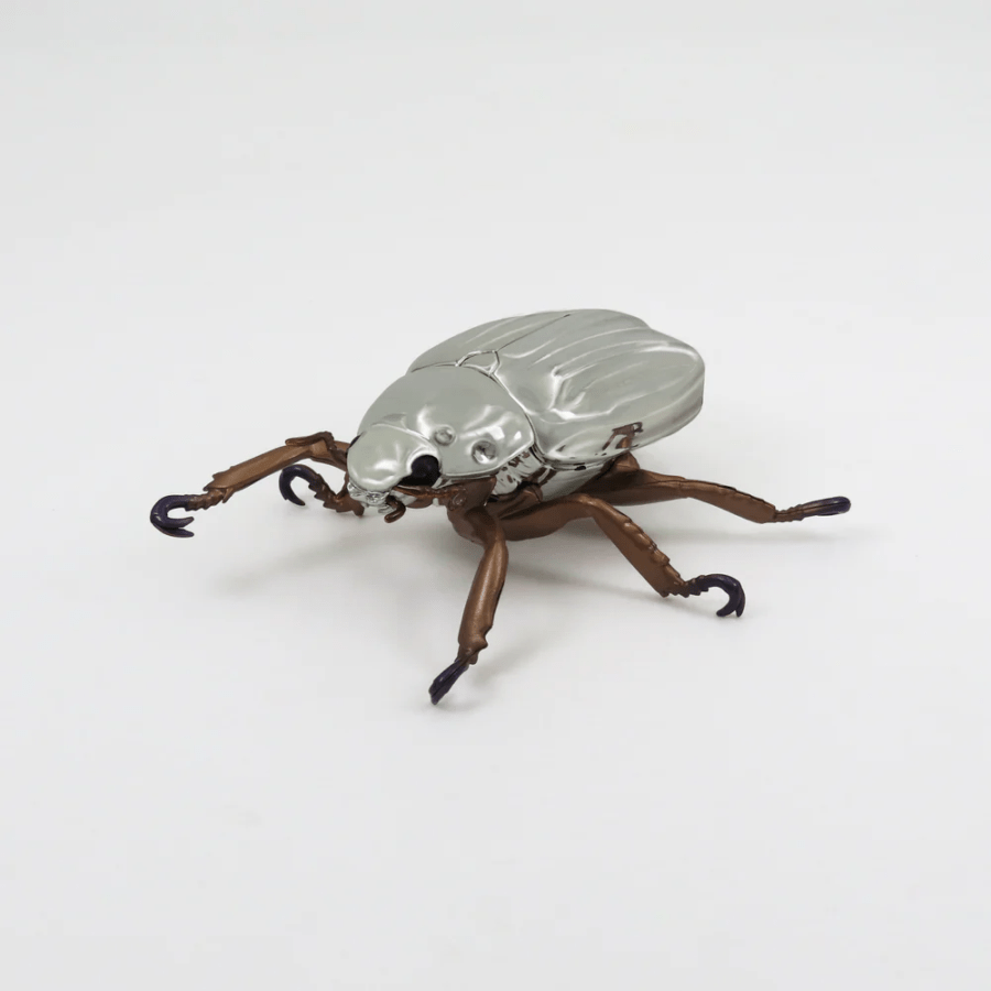 コスタリカ産　リンバータプラチナコガネ　22mm 000000001099_w2PdwRK.png