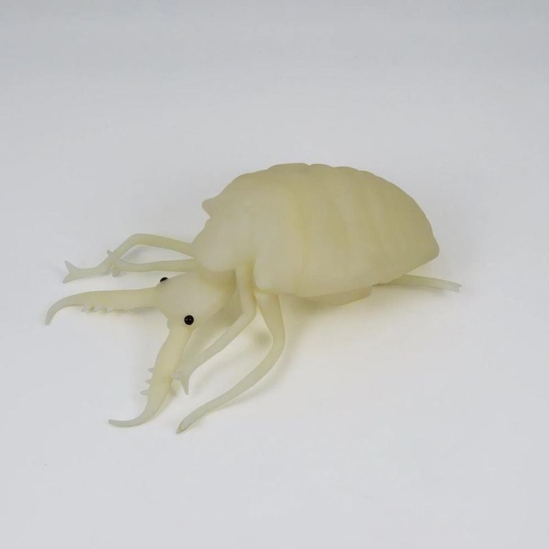 アリジゴク【蓄光】