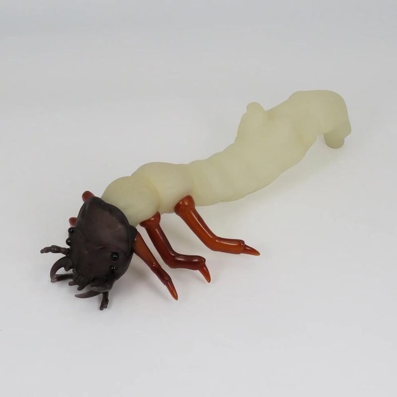 ハンミョウの幼虫【蓄光】