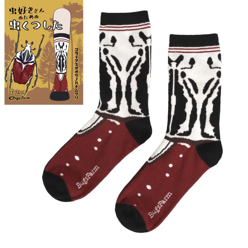 虫好きさんのための虫くつした　ゴライアスオオツノハナムグリ