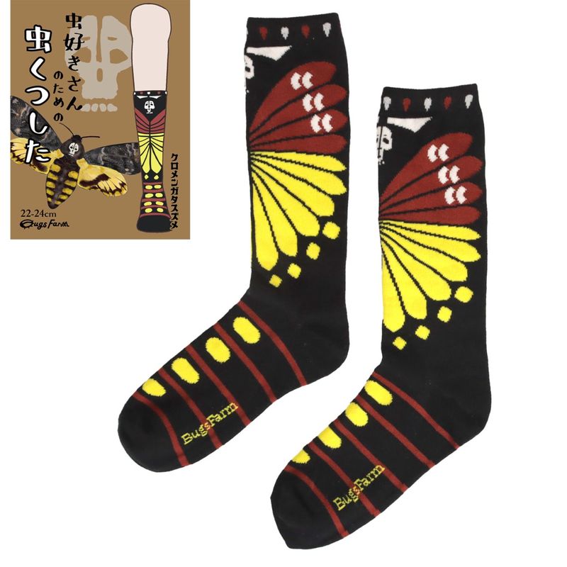 虫好きさんのための虫くつした　クロメンガタスズメ