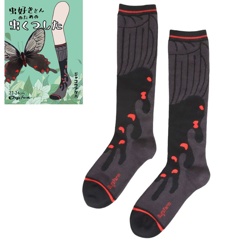 虫好きさんのための虫くつした　ジャコウアゲハ