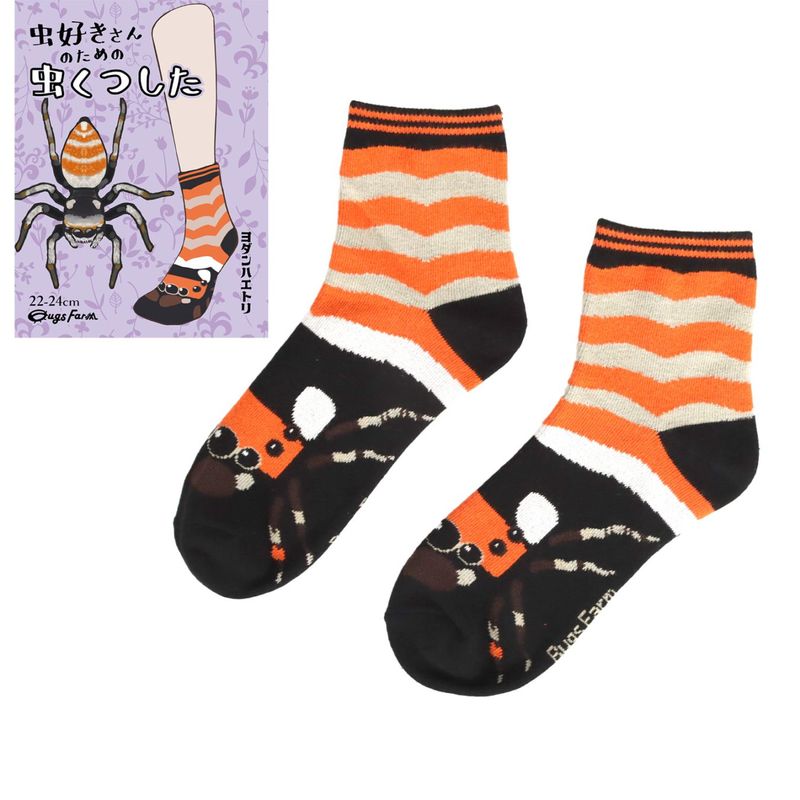 虫好きさんのための虫くつした　ヨダンハエトリ