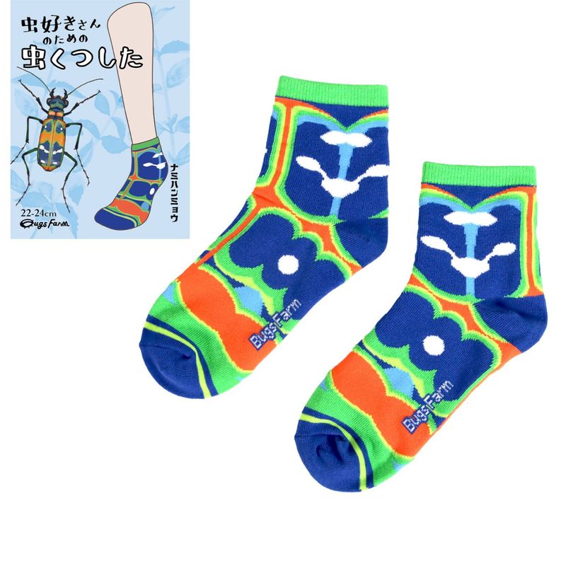 虫好きさんのための虫くつした　ナミハンミョウ