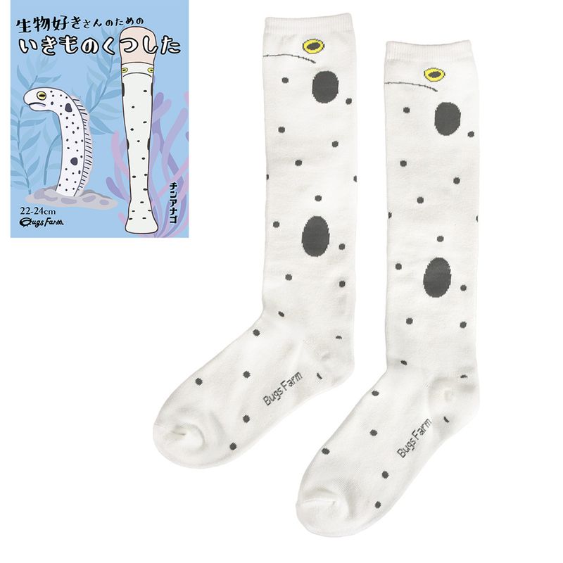 生物好きさんのためのいきものくつした　チンアナゴ