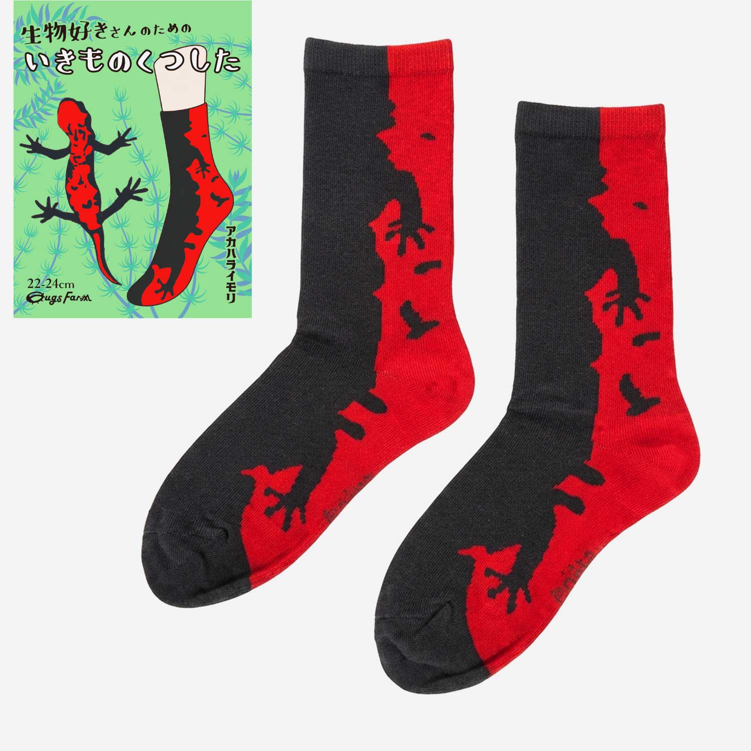 ��ʪ��������Τ���� ������Τ��Ĥ����������ϥ饤���