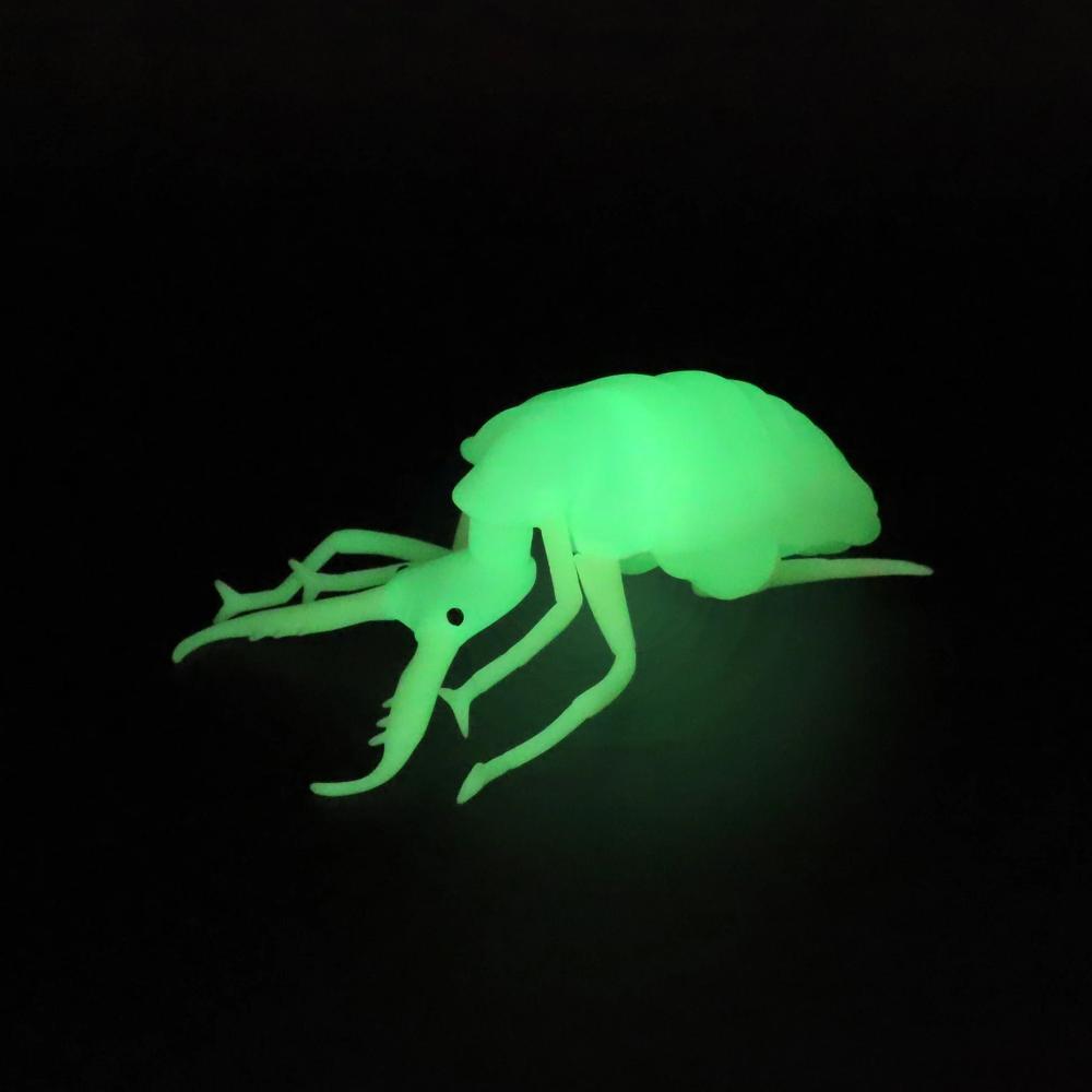 ���ꥸ�������߸���